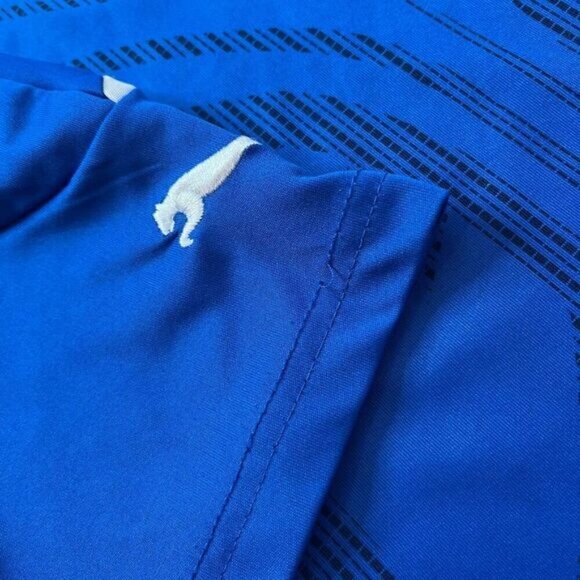 Italia Men’s Medium Puma Soccer Jersey Football Shirt Blue 2010 2011 Azzurri - Picture 12 of 14